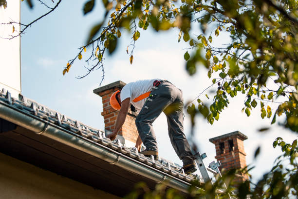 Best Roof Maintenance Services  in Ronceverte, WV